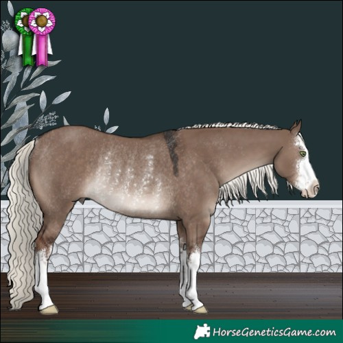 Horse Color:White Spotted Liver Red Dun Mushroom Rabicano 