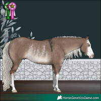 Horse Color:White Spotted Liver Red Dun Mushroom Rabicano