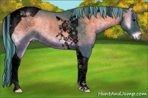 Horse Color:Void Painted Watercolor Blue Onyx Tobiano Rabicano