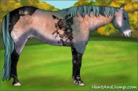 Horse Color:Void Painted Watercolor Blue Onyx Tobiano Rabicano