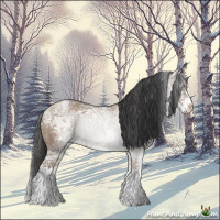 Horse Color:White Spotted Bay Ice Dun 