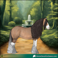 Horse Color:Bay Dun Splash Rabicano 