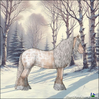 Horse Color:Silver Classic Champagne Ice 