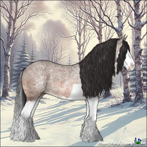 Horse Color:Bay Ice Splash Rabicano