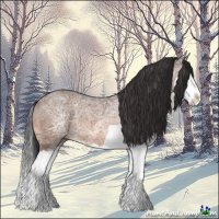 Horse Color:Bay Ice Splash Rabicano