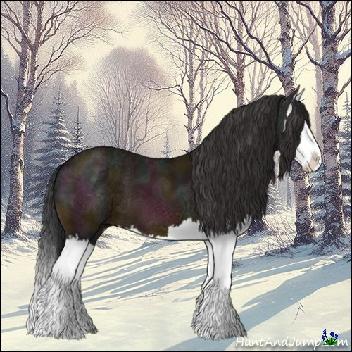 Horse Color:Midnight Bay Ice Splash