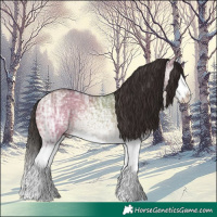 Horse Color:Bay Ice Dun Splash Rabicano