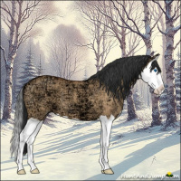 Horse Color:Bay Ice Dun Splash 