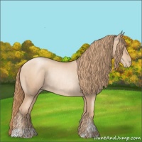 Horse Color:Gold Champagne Pearl Rabicano and Gold Champagne Pearl Rabicano