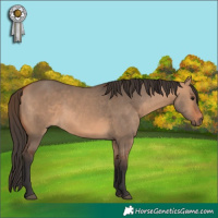 Horse Color:Bay Dun
