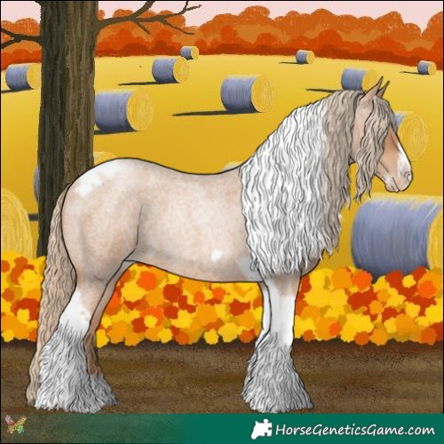 Horse Color:Red Roan Pearl Tobiano Frame 