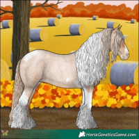 Horse Color:Red Roan Pearl Tobiano Frame 