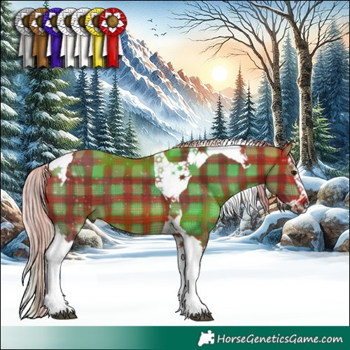 Horse Color:Plaid  Silver Brown Splash Tobiano 
