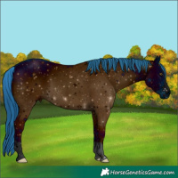 Horse Color:ERROR: UNKNOWN ANOMALY
