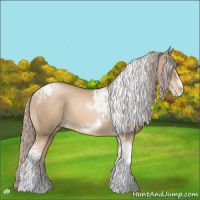 Horse Color:Chocolate Palomino Pearl Tobiano Frame  and Chocolate Palomino Pearl Tobiano Frame 