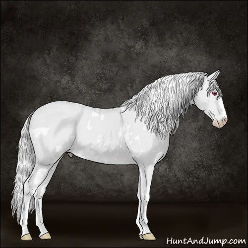 Horse Color:White Spotted Smoky Creme Chinchilla