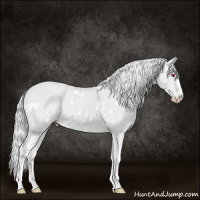 Horse Color:White Spotted Smoky Creme Chinchilla 