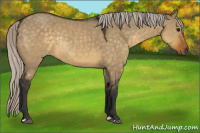 Horse Color:Silver Buckskin Dun Rabicano 
