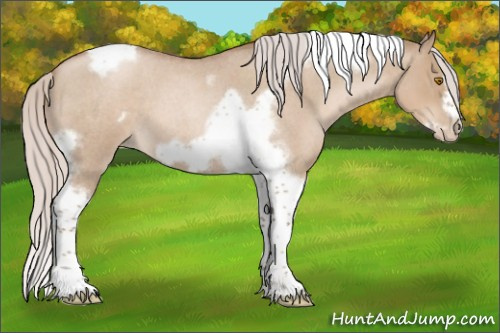 Horse Color:Silver Grullo Roan Pearl Tobiano Frame 