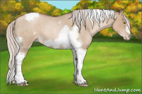 Horse Color:Silver Grullo Roan Pearl Tobiano Frame 