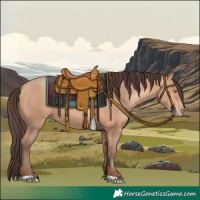 Horse Color:Amber Champagne 