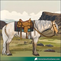 Horse Color:Silver Buckskin Roan