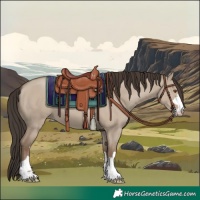 Horse Color:Classic Champagne Dun 