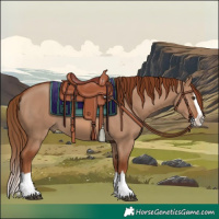 Horse Color:Red Dun Splash 