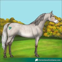 Horse Color:Silver Brown Roan Dun Sabino Rabicano 