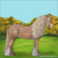 Horse Color:Chestnut Tobiano Snowflake Varnish