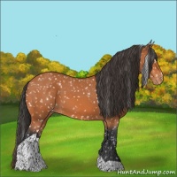 Horse Color:Bay Tobiano Snowflake Varnish