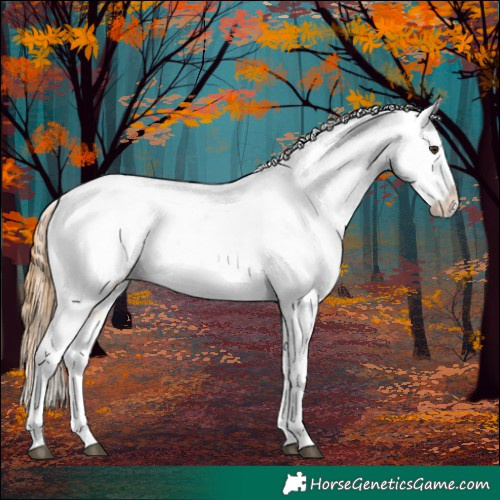 Horse Color:Chestnut Snowflake Varnish