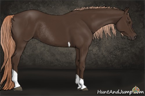 Horse Color:Liver Chestnut Tobiano Rabicano