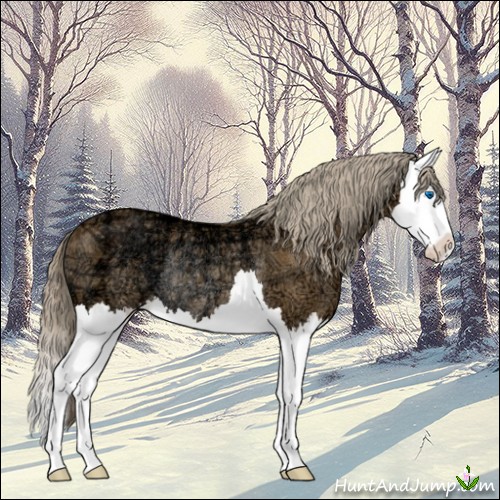 Horse Color:Chocolate Palomino Ice Splash Rabicano