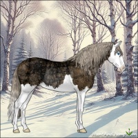 Horse Color:Chocolate Palomino Ice Splash Rabicano