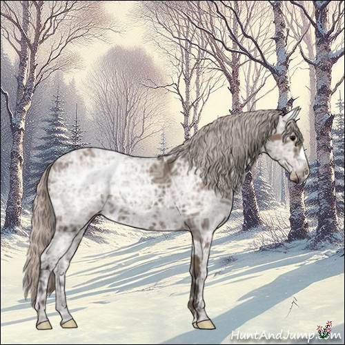 Horse Color:Silver Grullo Ice 