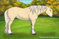 Horse Color:Palomino Dun Tobiano