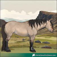 Horse Color:Bay Dun 