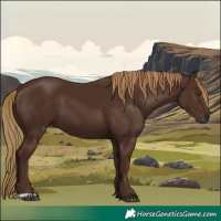 Horse Color:Gray Chestnut 
