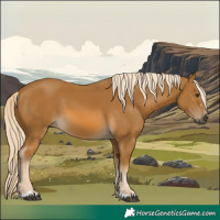 Horse Color:Gray Palomino 