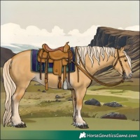 Horse Color:Palomino Dun 