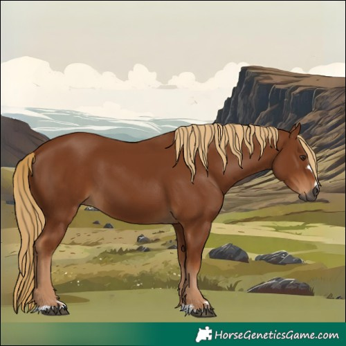 Horse Color:Gray Chestnut 