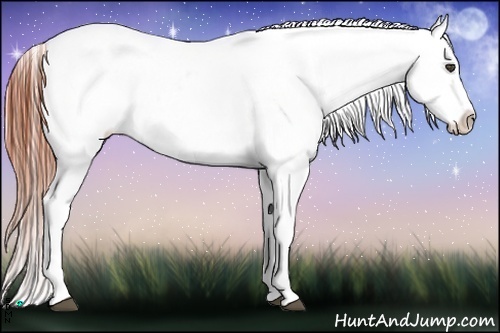 Horse Color:Bay Roan Dun Varnish