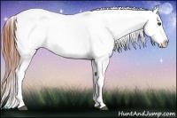 Horse Color:Bay Roan Dun Varnish