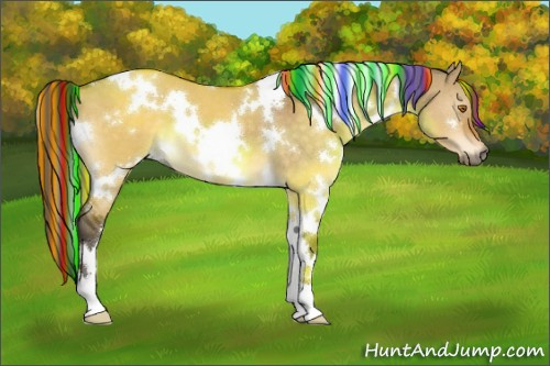 Horse Color:Painted White Spotted Buckskin Dun 