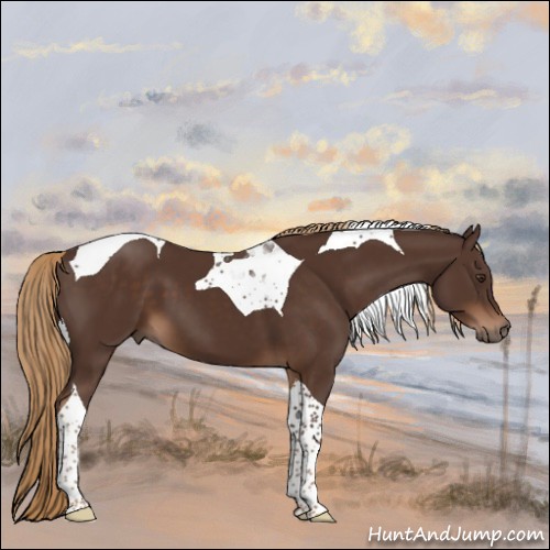 Horse Color:Liver Chestnut Tobiano 