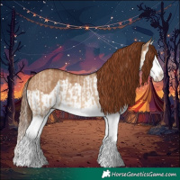 Horse Color:Red Dun Splash  and Red Dun Splash 