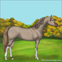 Horse Color:Liver Red Dun 