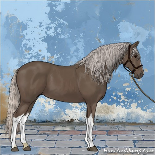 Horse Color:Silver Black 