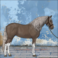 Horse Color:Silver Black 